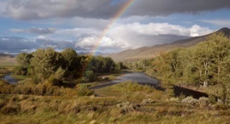 Moose Haven at Big Hole River Retreat